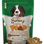 Best Fiber for Dogs With Colitis