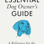 Best First Time Dogs for Owners