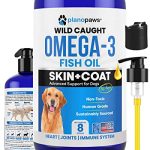 Best Fish for Dogs to Eat
