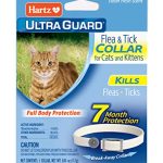 Best Flea And Tick Collars for Dogs And Cats