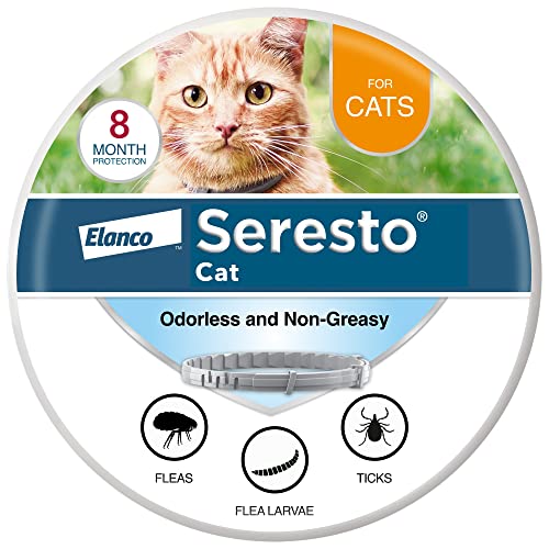 Best Flea Collar for Dogs And Cats