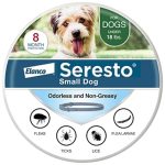 Best Flea Collar for Small Dogs