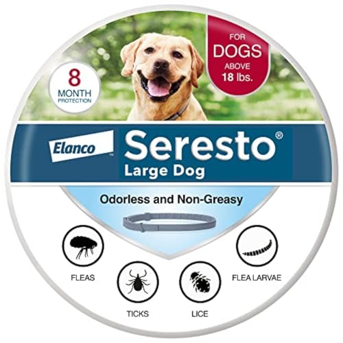 Best Flea Products for Dogs