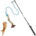 Best Flirt Pole for Dogs