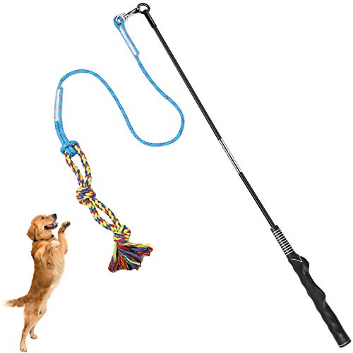 Best Flirt Pole for Dogs