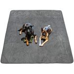 Best Floor Covering for Dogs