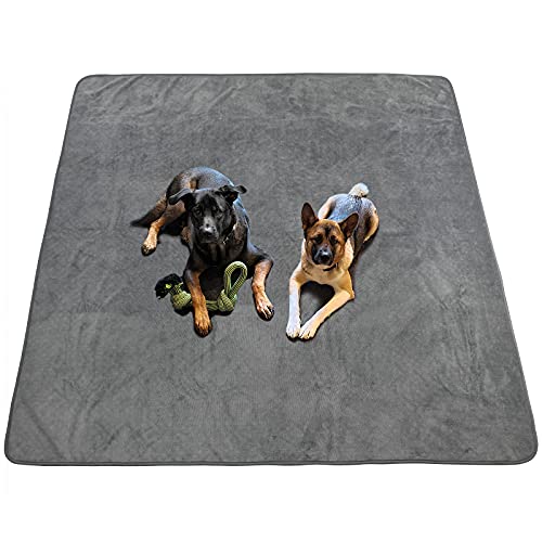 Best Floor Covering for Dogs