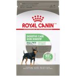 Best Food for a Dog With Colitis