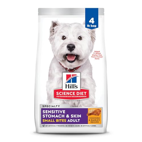 Best Food for a Dog With Upset Stomach