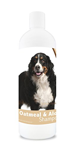 Best Food for Bernese Mountain Dog