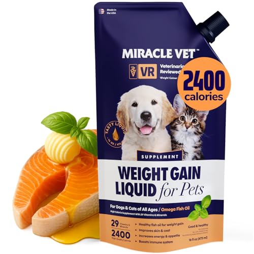 Best Food for Dog to Gain Weight