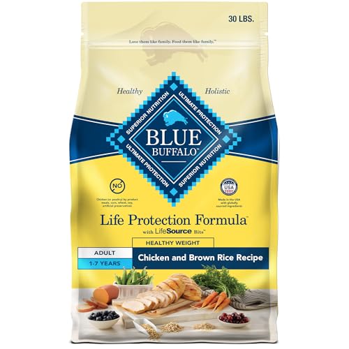 Best Food for Dog Weight Loss