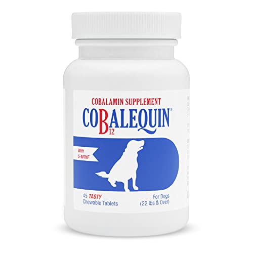 Best Food for Dog With B12 Deficiency