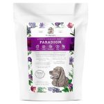 Best Food for Dog With Cancer