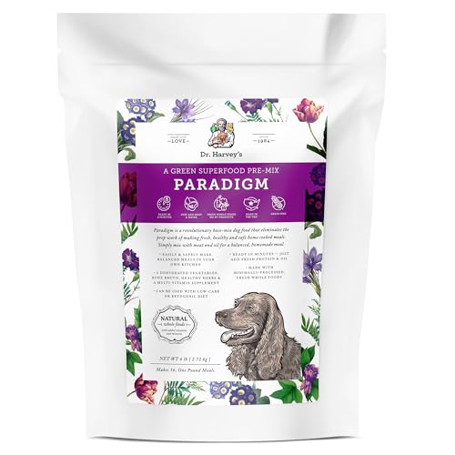 Best Food for Dog With Cancer