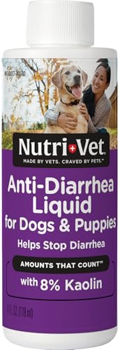 Best Food for Dog With Diarrhea