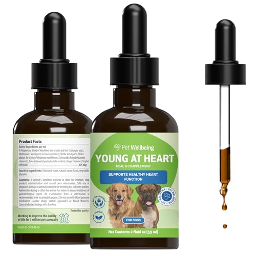 Best Food for Dog With Heart Murmur