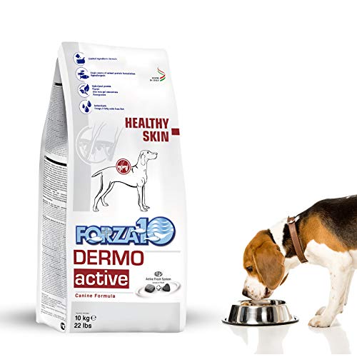 Best Food for Dog With Inflammatory Bowel Disease