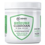 Best Food for Dogs With Seizures