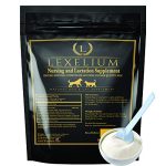 Best Food for Nursing Dog