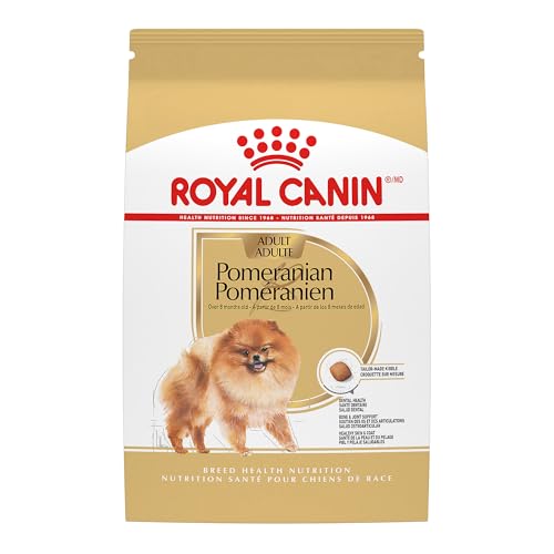 Best Food for Pomeranian Dog