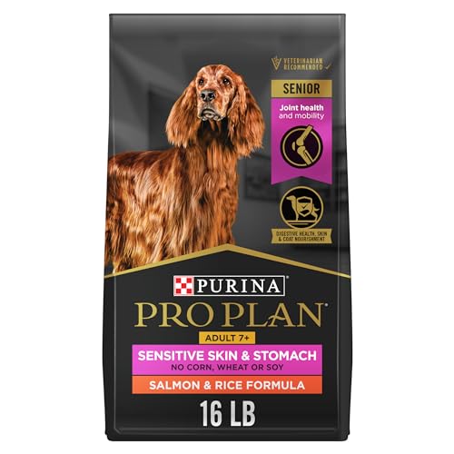 Best Food for Senior Dogs With Sensitive Stomachs