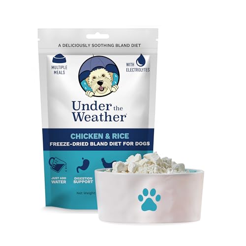 Best Food for Sick Dog