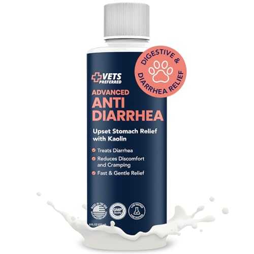Best Food to Give Dog With Diarrhea