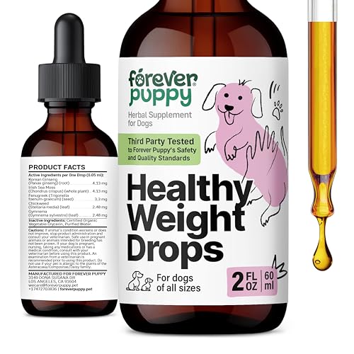 Best Food to Put Weight on a Dog