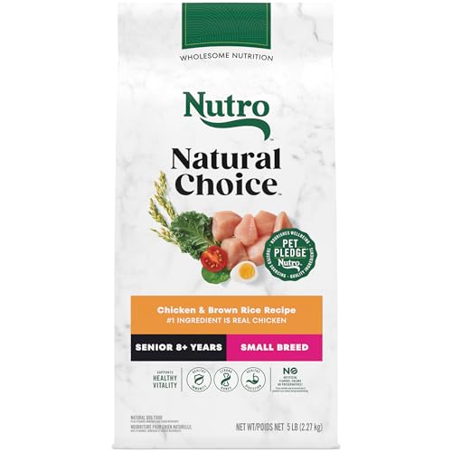 Best Foods for Senior Dogs