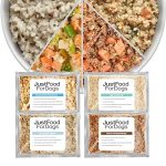 Best Fresh Dog Food for Sensitive Stomach