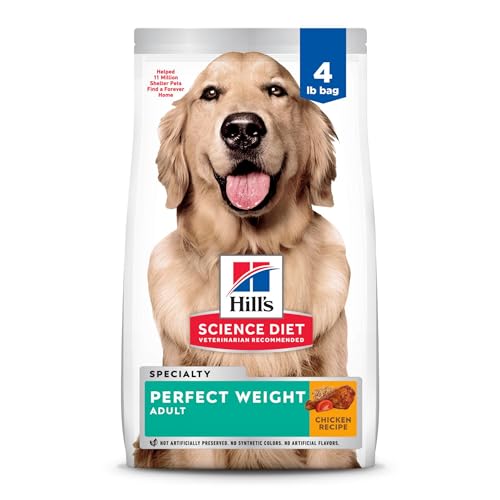 Best Fresh Dog Food for Weight Loss