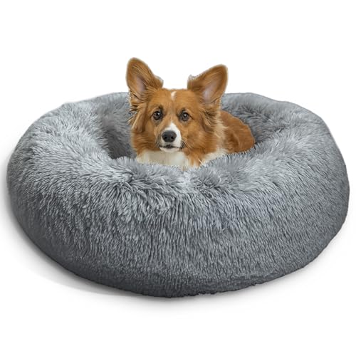 Best Friend by Sheri Dog Bed
