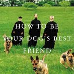 Best Friend Companion Dog Training
