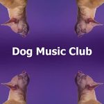 Best Friends Club Song Dog