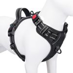 Best Front Clip Harness for Dogs