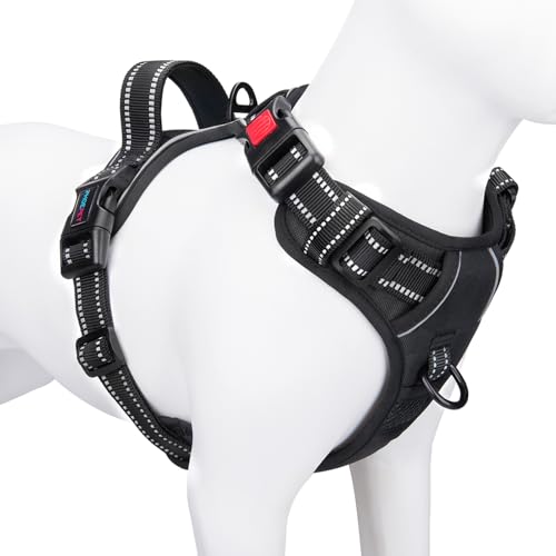 Best Front Clip Harness for Dogs