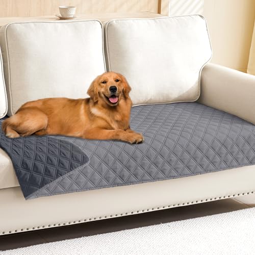 Best Furniture Material With Dogs
