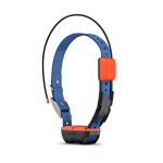 Best Garmin Watch for Dog Tracking
