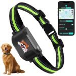 Best Geo Fence Dog Collars