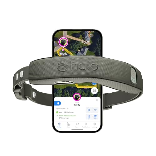 Best Geo Fence for Dogs