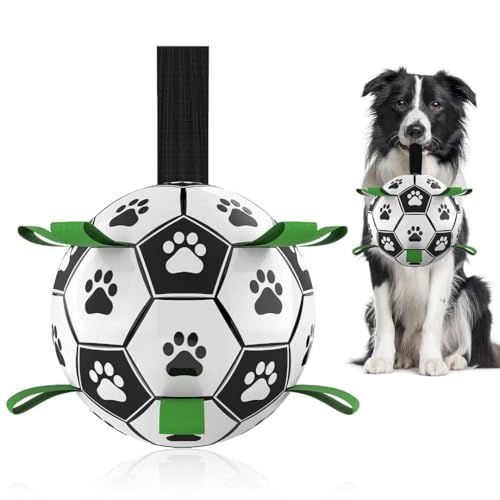 Best Gift for a Dog