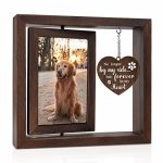 Best Gifts for Someone Who Lost a Dog