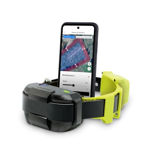 Best Gps Dog Fence 2024