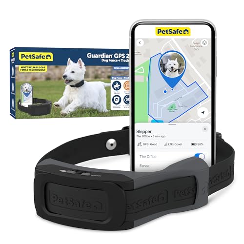 Best Gps Dog Fence for Small Dogs