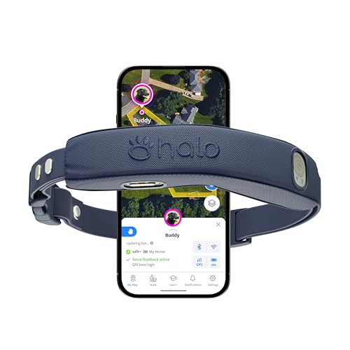 Best Gps Wireless Dog Fence