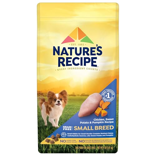 Best Grain-Free Dog Food for Small Breeds