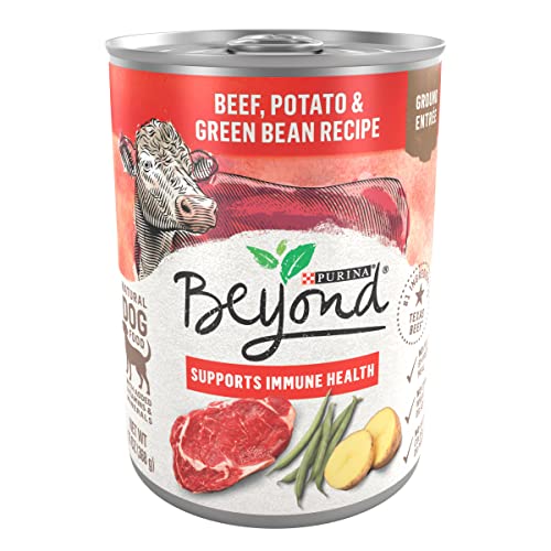 Best Grain Free Wet Dog Food
