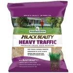 Best Grass for Dog Traffic