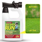 Best Grass for Dogs in Colorado